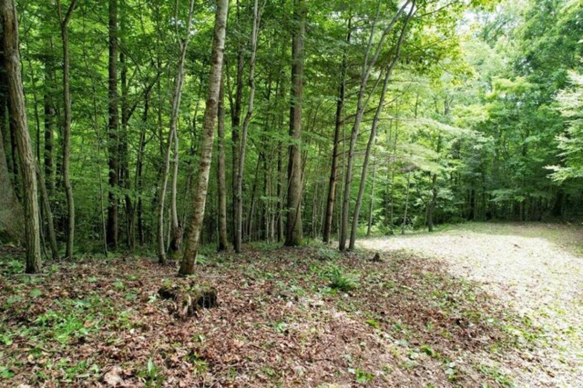 Picture of Residential Land For Sale in Franklin, North Carolina, United States