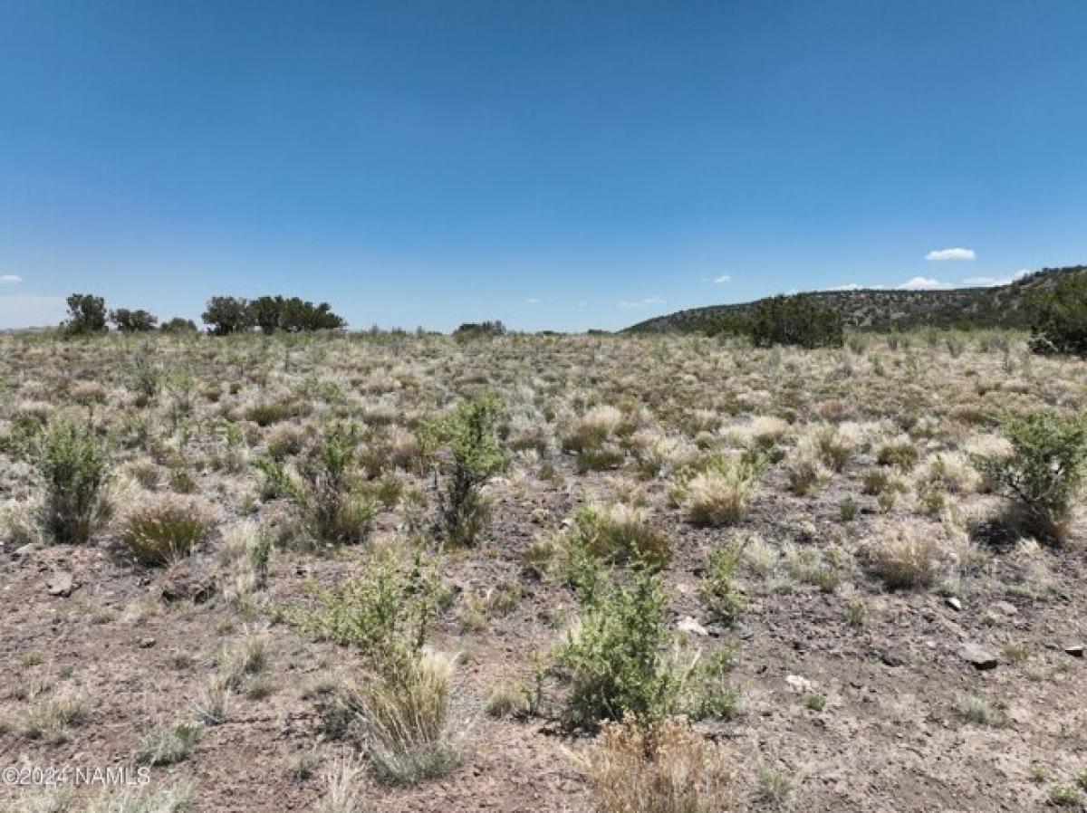 Picture of Residential Land For Sale in Williams, Arizona, United States
