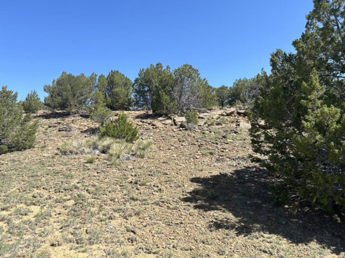 Picture of Residential Land For Sale in Walsenburg, Colorado, United States