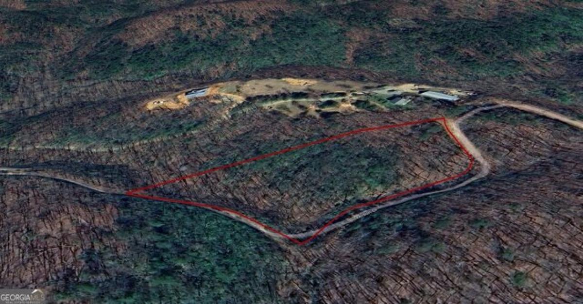 Picture of Residential Land For Sale in Ellijay, Georgia, United States