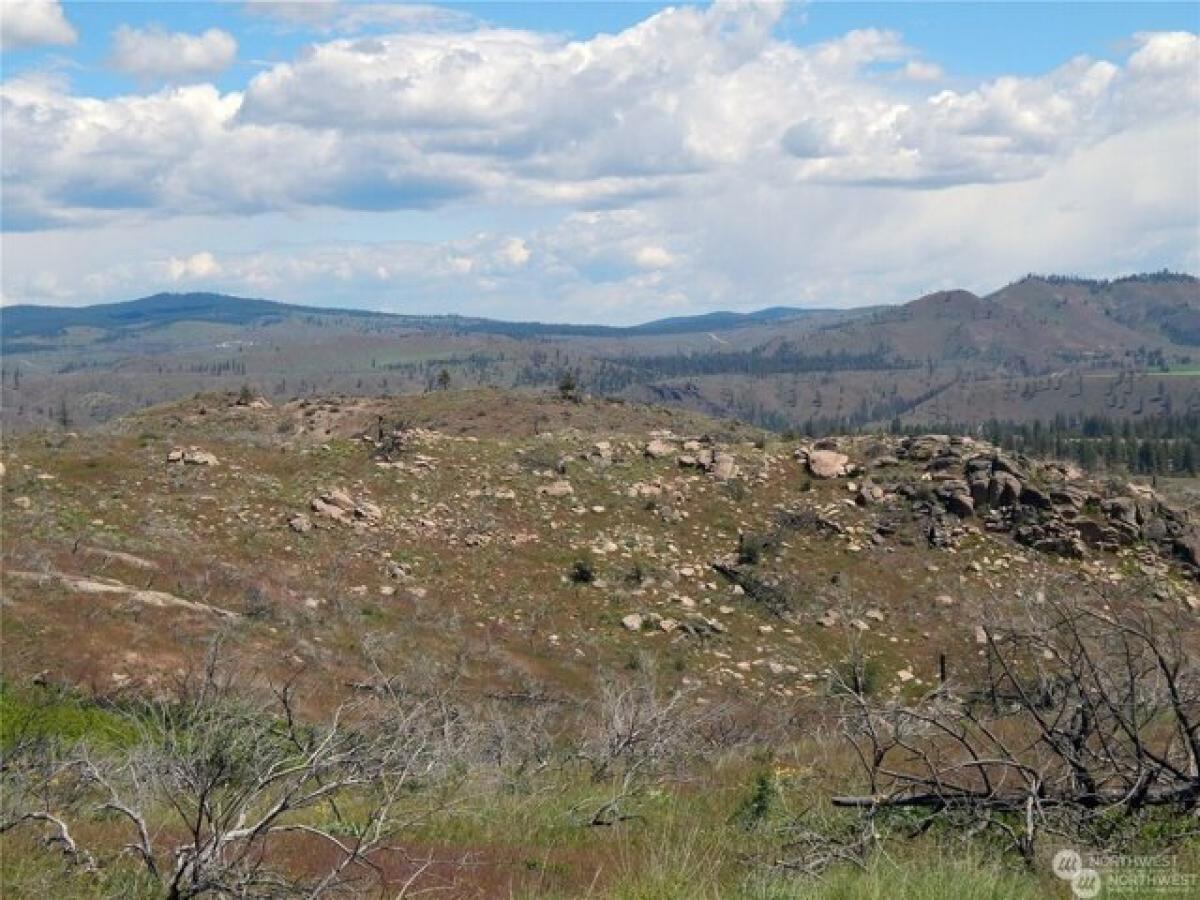 Picture of Residential Land For Sale in Davenport, Washington, United States