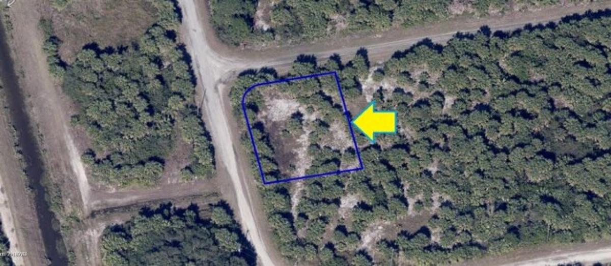 Picture of Residential Land For Sale in Palm Bay, Florida, United States