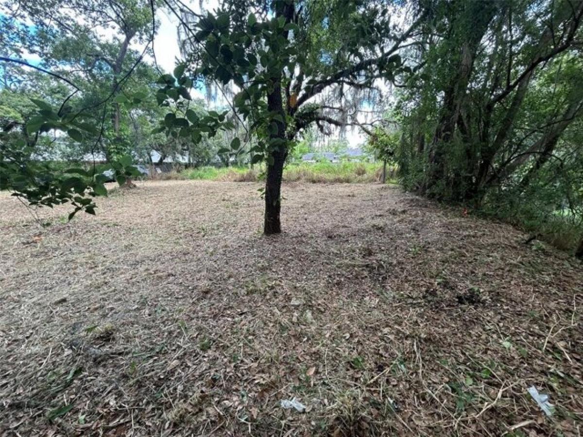 Picture of Residential Land For Sale in Orlando, Florida, United States