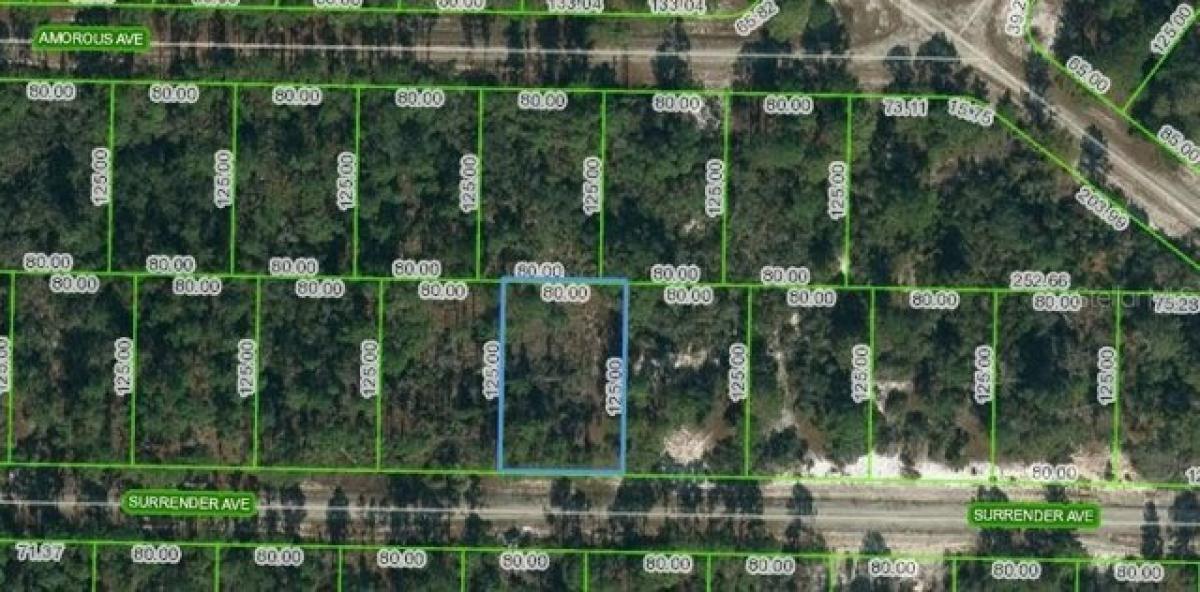 Picture of Residential Land For Sale in Lake Placid, Florida, United States