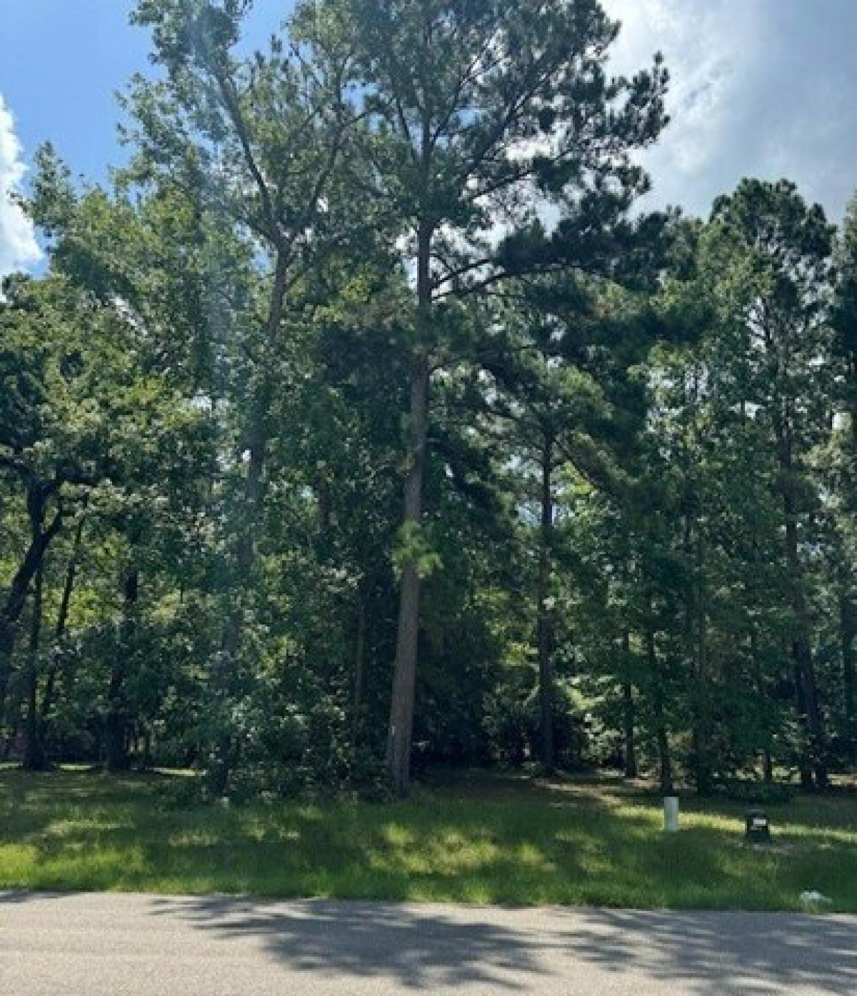 Picture of Residential Land For Sale in Huntsville, Texas, United States