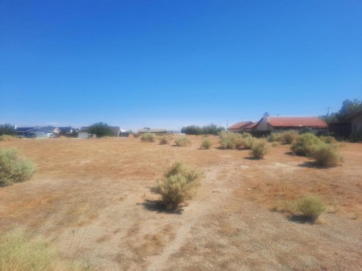 Picture of Residential Land For Sale in California City, California, United States