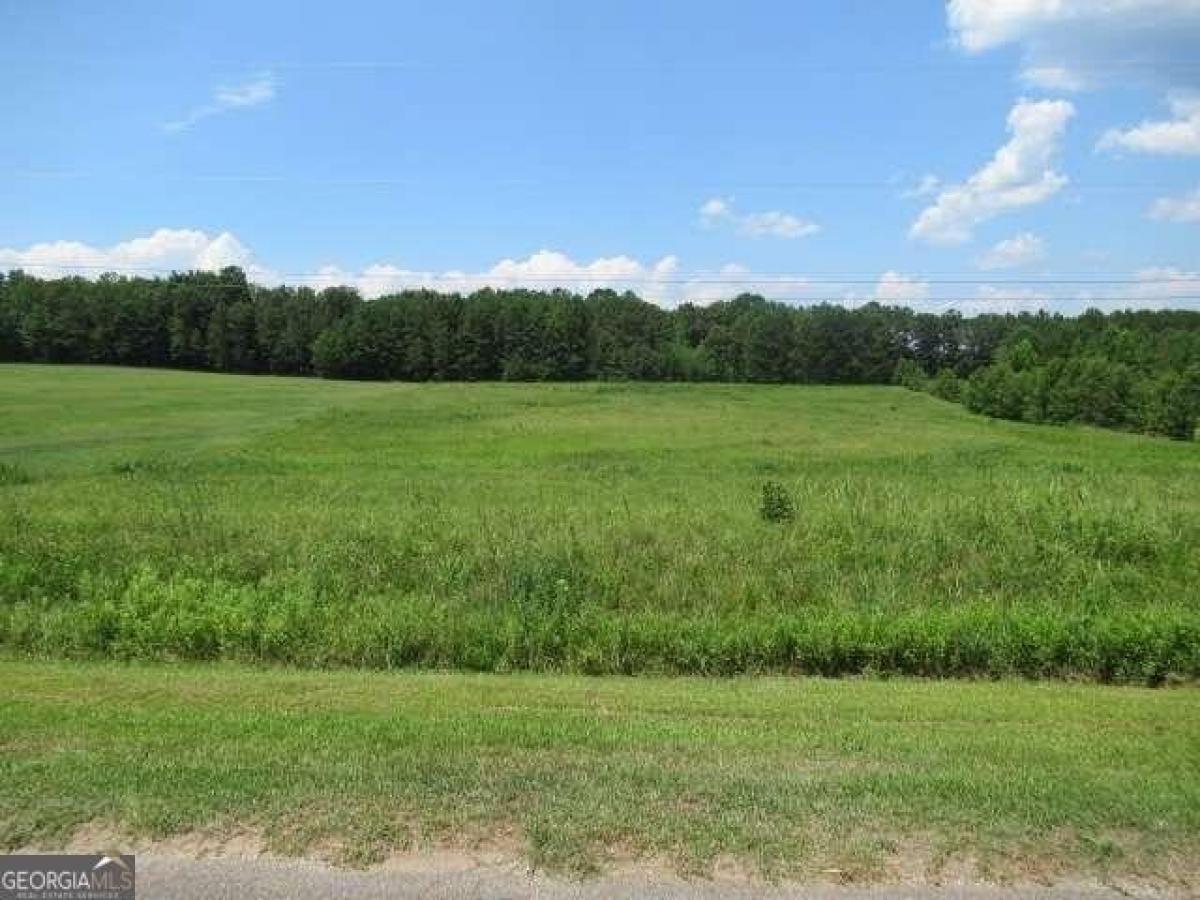Picture of Residential Land For Sale in Roopville, Georgia, United States