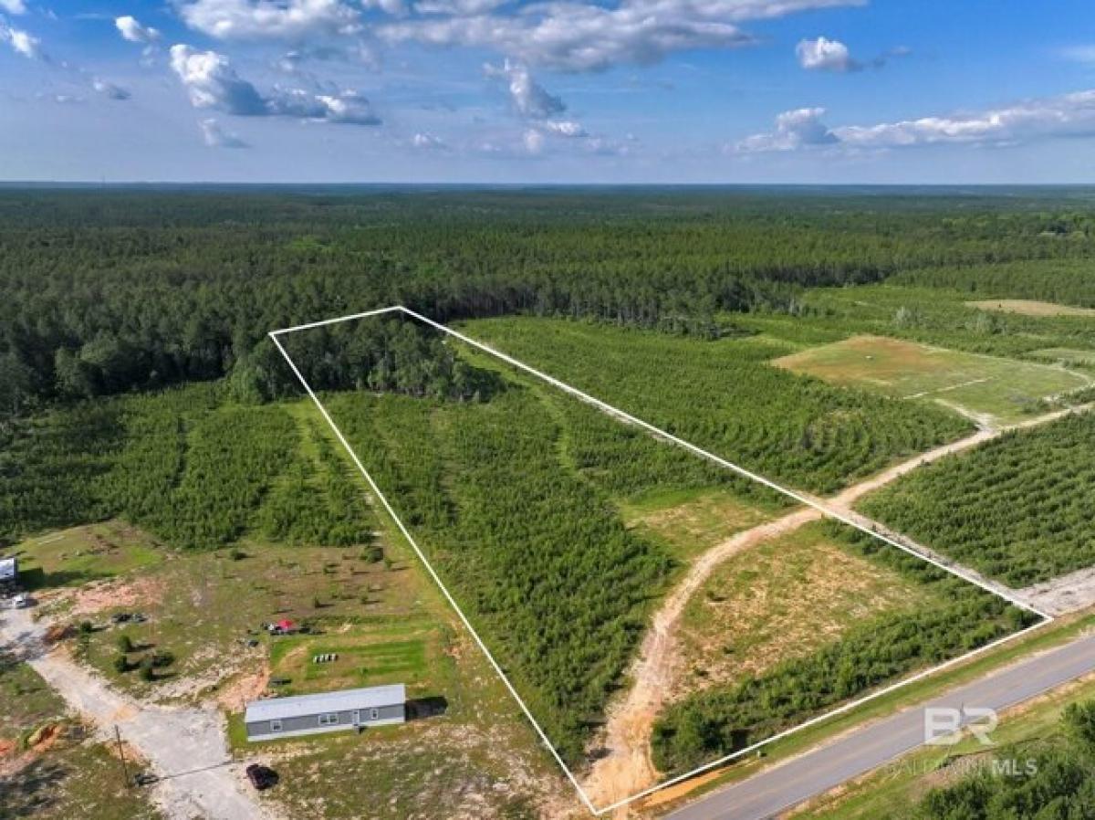 Picture of Residential Land For Sale in Bay Minette, Alabama, United States