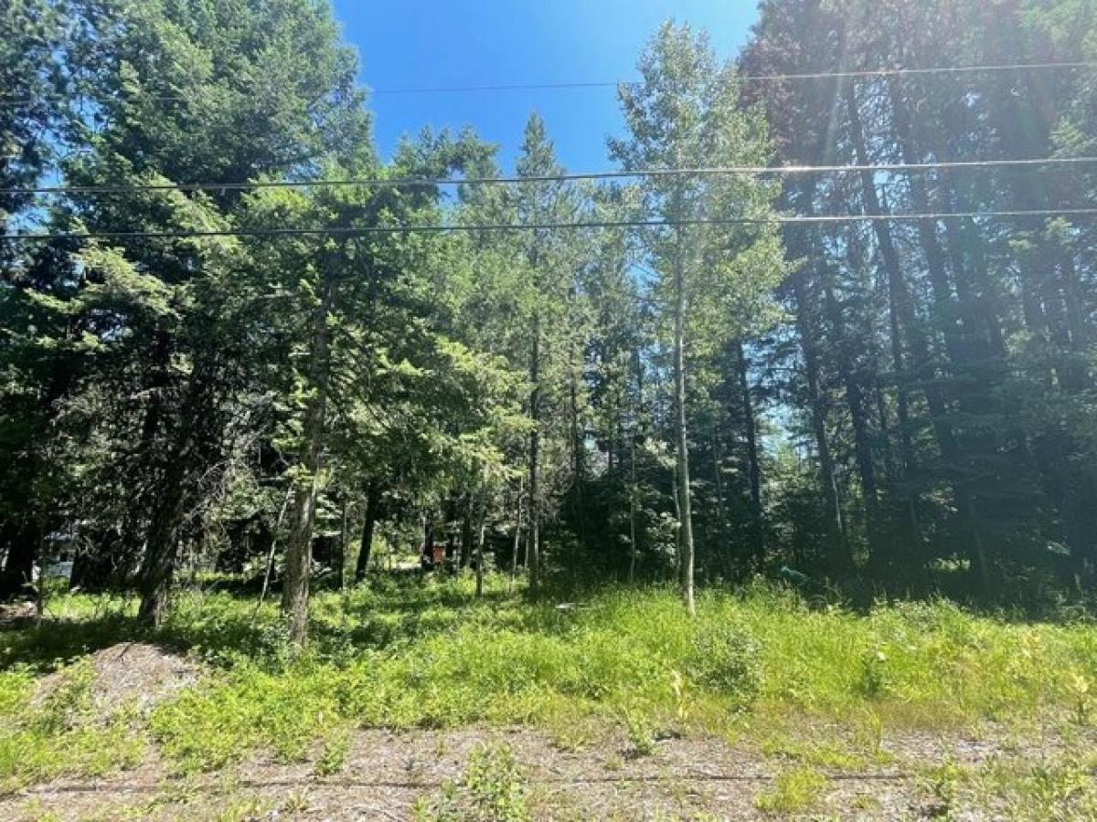 Picture of Residential Land For Sale in McCall, Idaho, United States