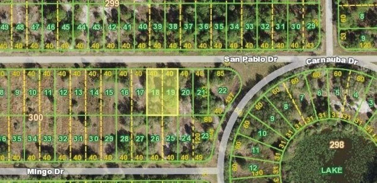 Picture of Residential Land For Sale in Punta Gorda, Florida, United States
