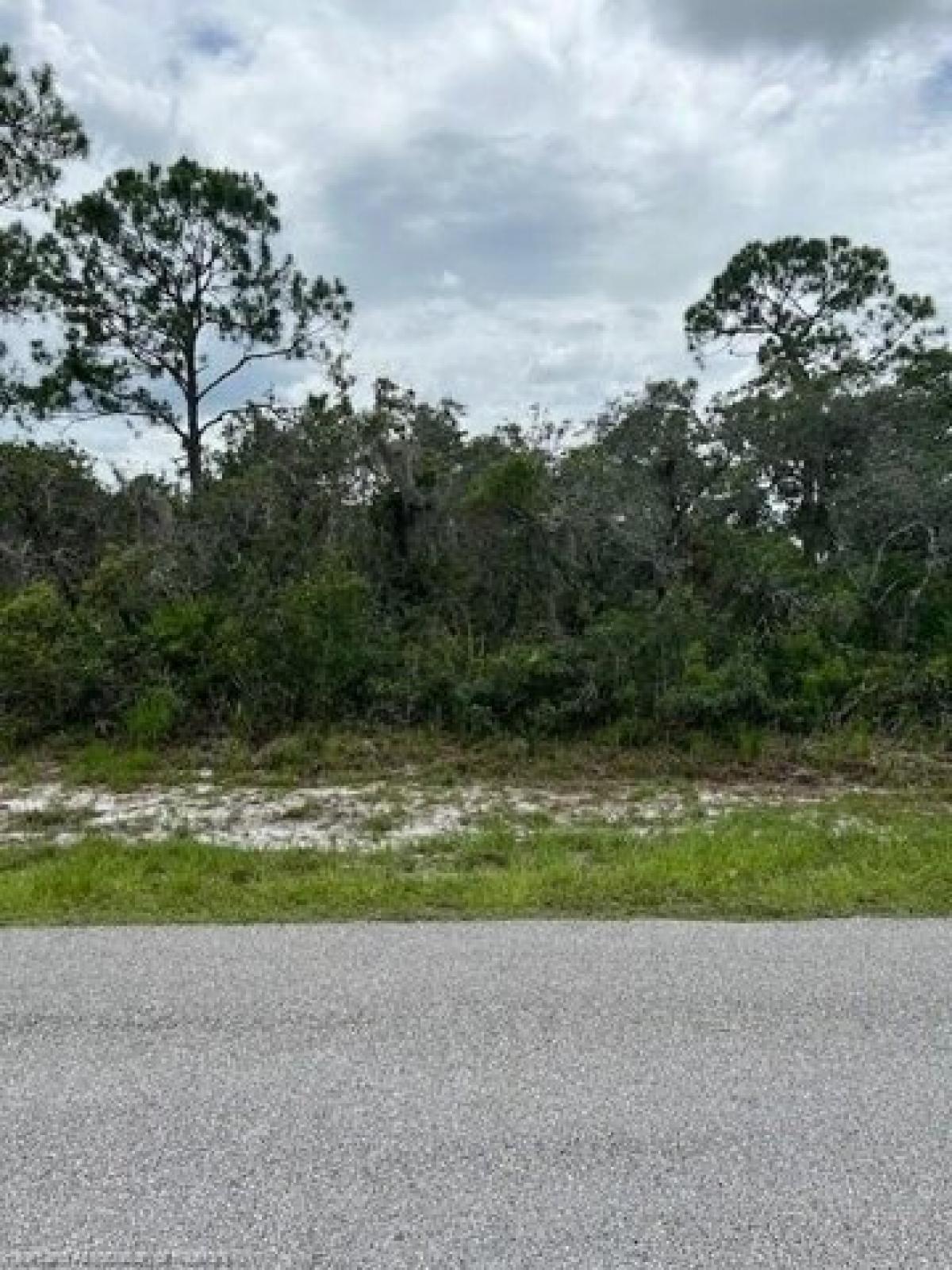 Picture of Residential Land For Sale in Sebring, Florida, United States