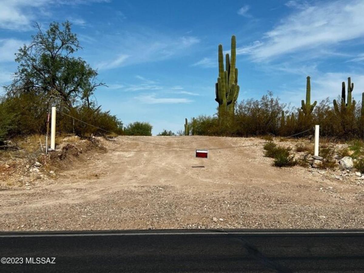 Picture of Residential Land For Sale in Tucson, Arizona, United States