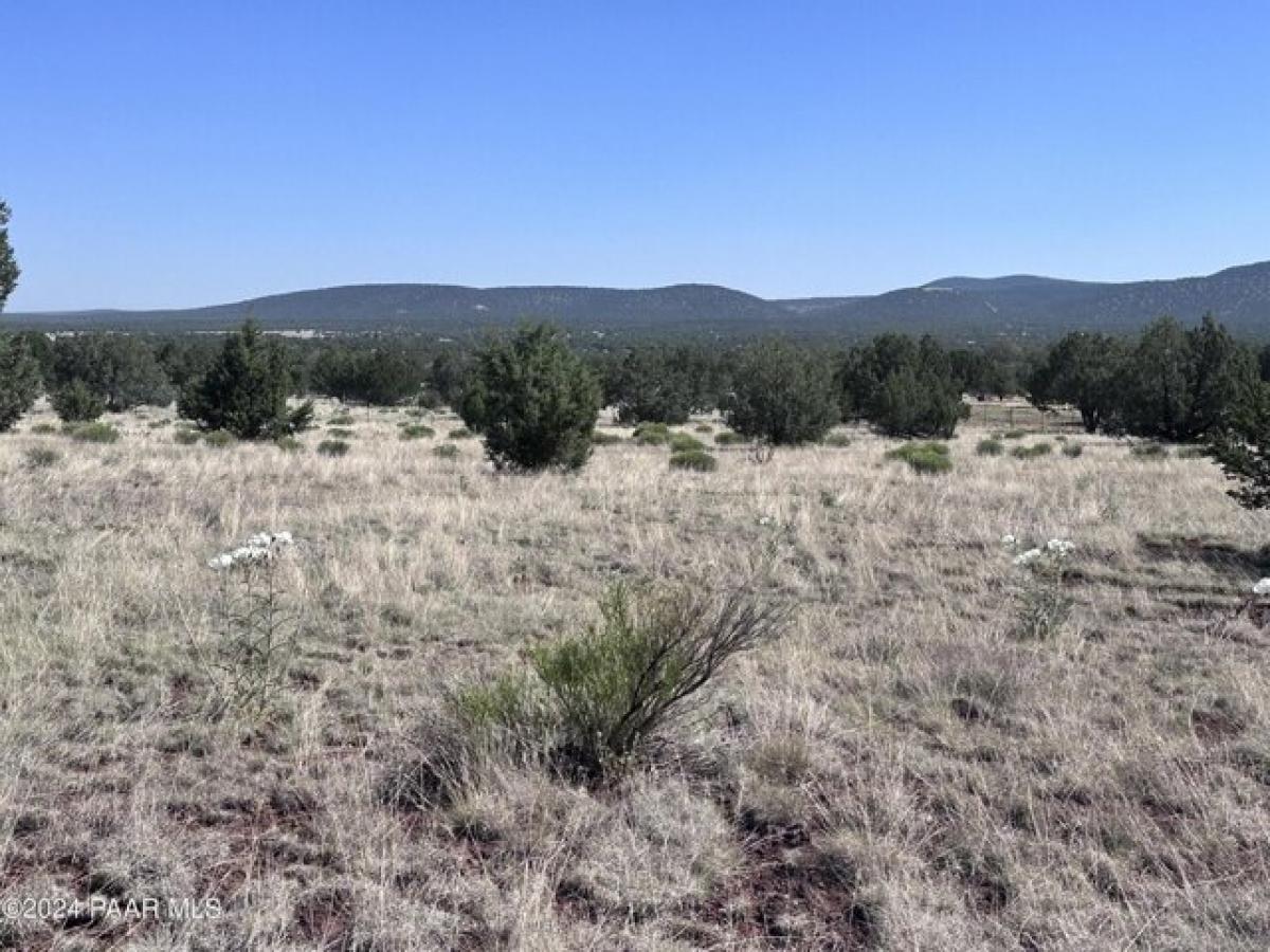 Picture of Residential Land For Sale in Williams, Arizona, United States