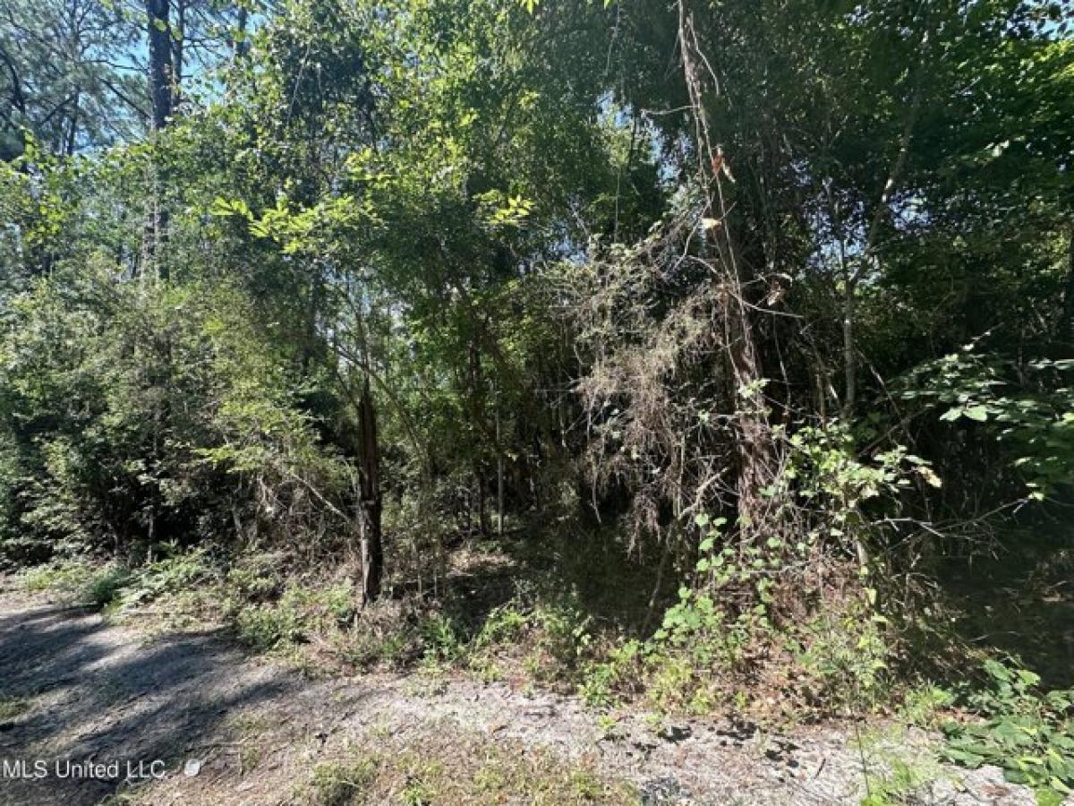 Picture of Residential Land For Rent in Ocean Springs, Mississippi, United States