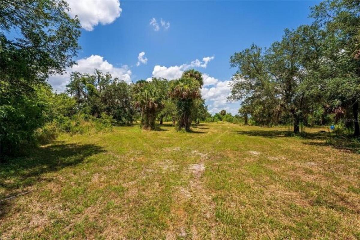 Picture of Residential Land For Sale in Geneva, Florida, United States
