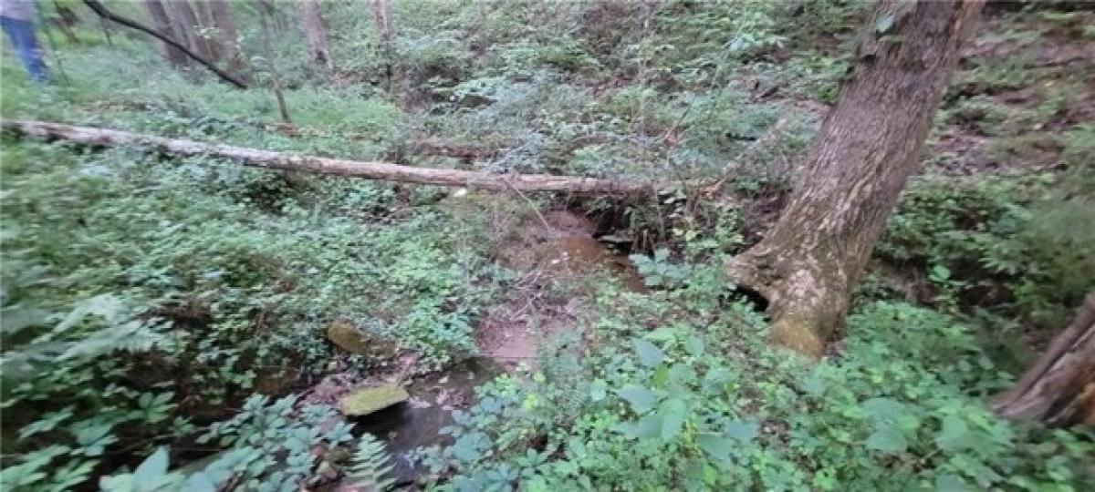 Picture of Residential Land For Sale in Ball Ground, Georgia, United States