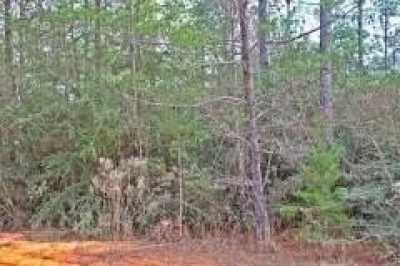 Residential Land For Sale in Defuniak Springs, Florida