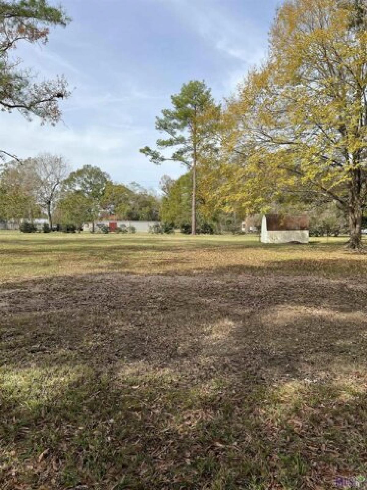 Picture of Residential Land For Sale in Denham Springs, Louisiana, United States