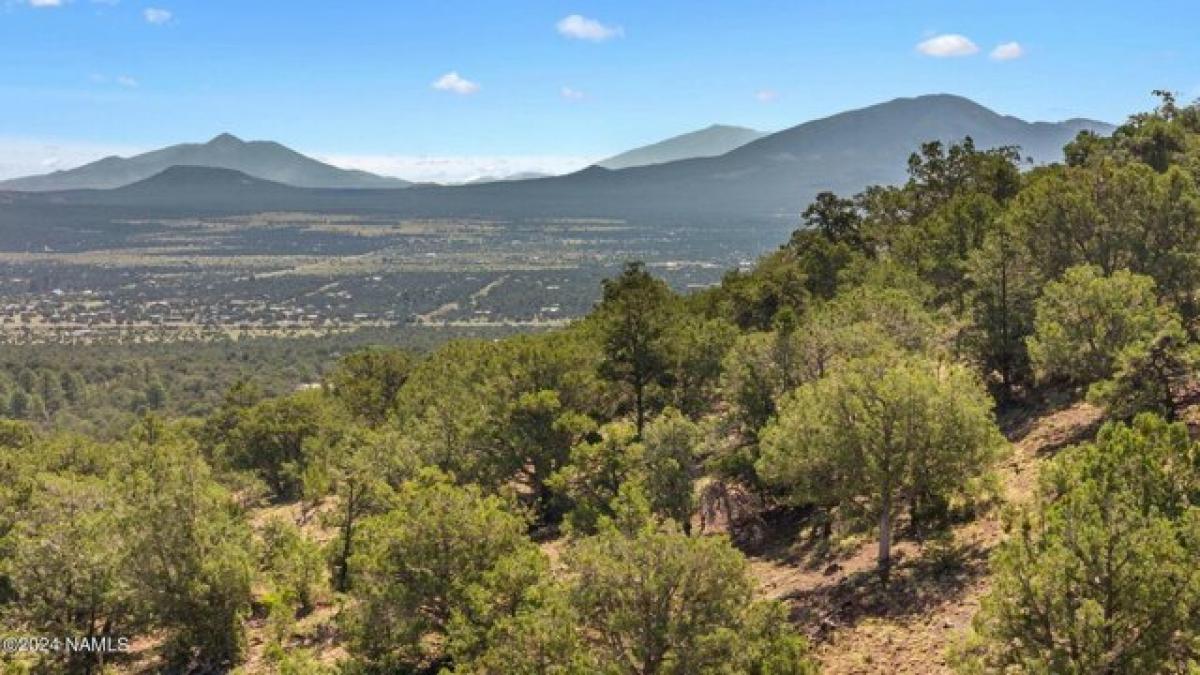 Picture of Residential Land For Sale in Williams, Arizona, United States