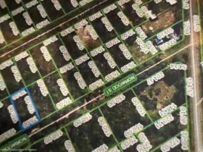 Residential Land For Sale in Lake Placid, Florida