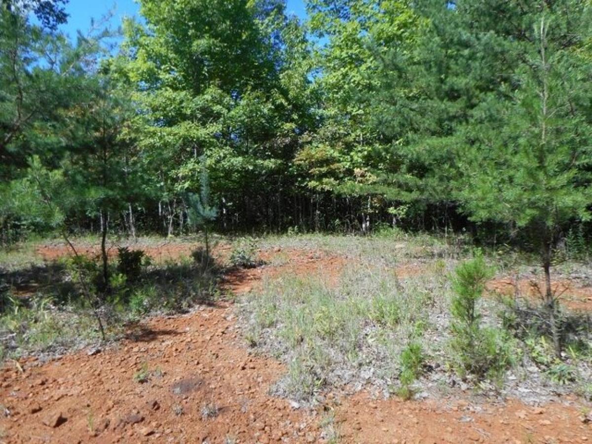 Picture of Residential Land For Sale in Franklin, North Carolina, United States