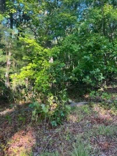 Residential Land For Sale in Ellijay, Georgia