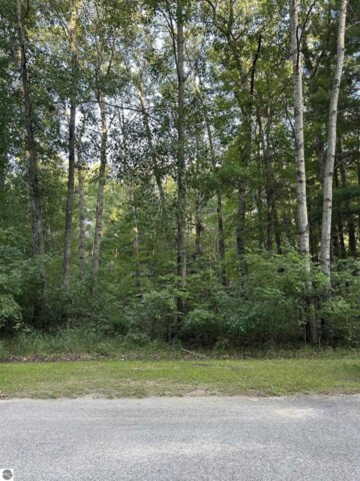 Picture of Residential Land For Rent in West Branch, Michigan, United States