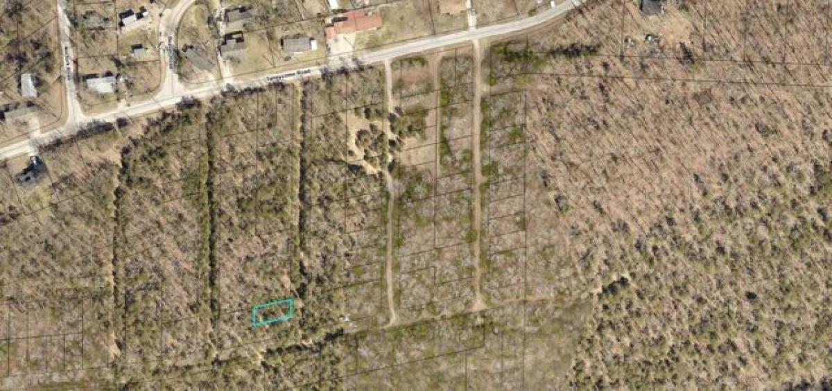 Picture of Residential Land For Rent in Branson, Missouri, United States