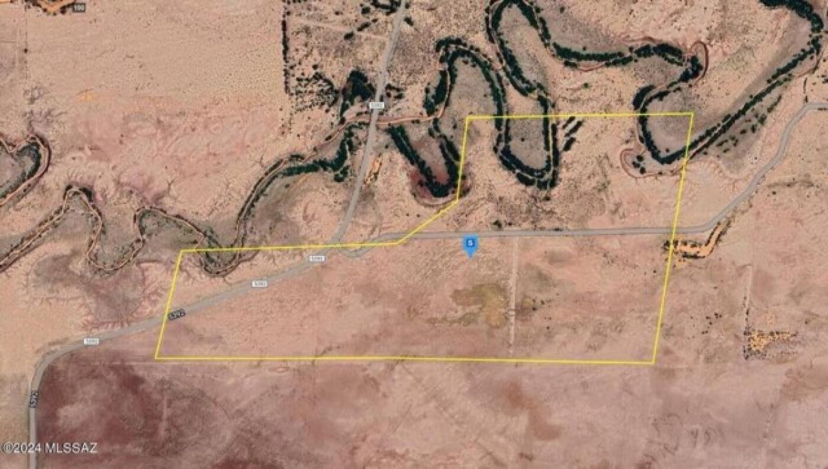 Picture of Residential Land For Sale in Concho, Arizona, United States