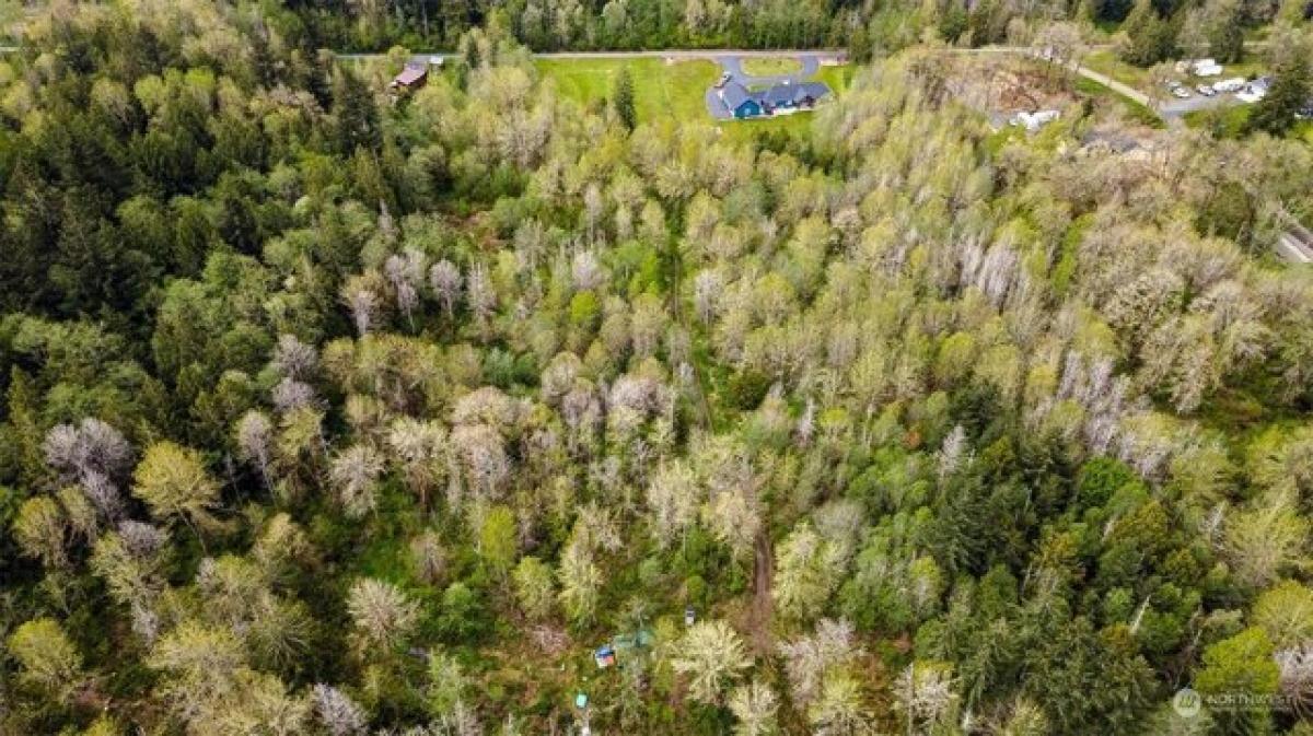Picture of Residential Land For Sale in Napavine, Washington, United States
