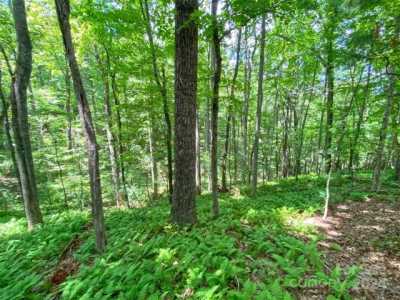 Residential Land For Sale in Hendersonville, North Carolina