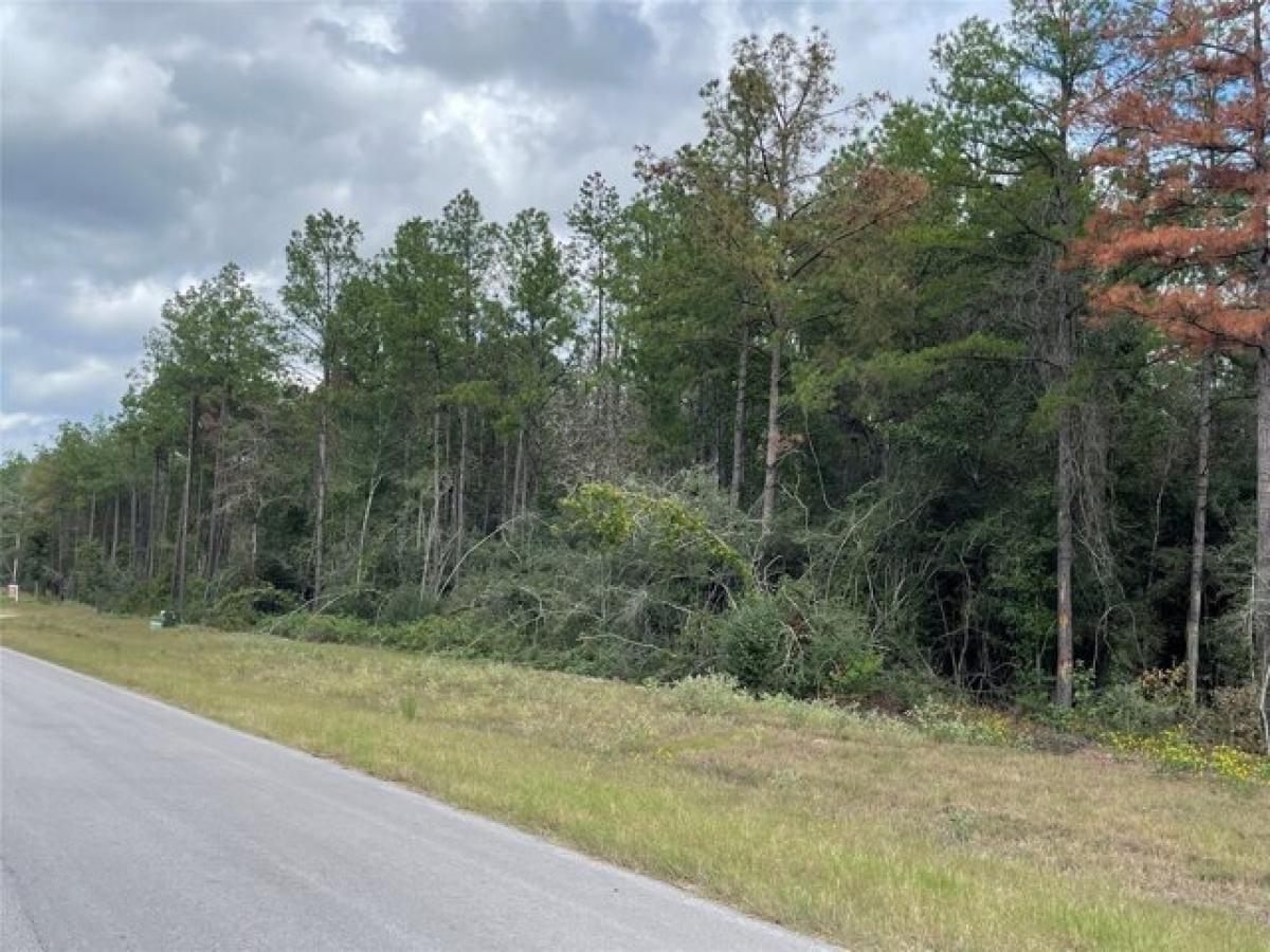 Picture of Residential Land For Sale in Willis, Texas, United States