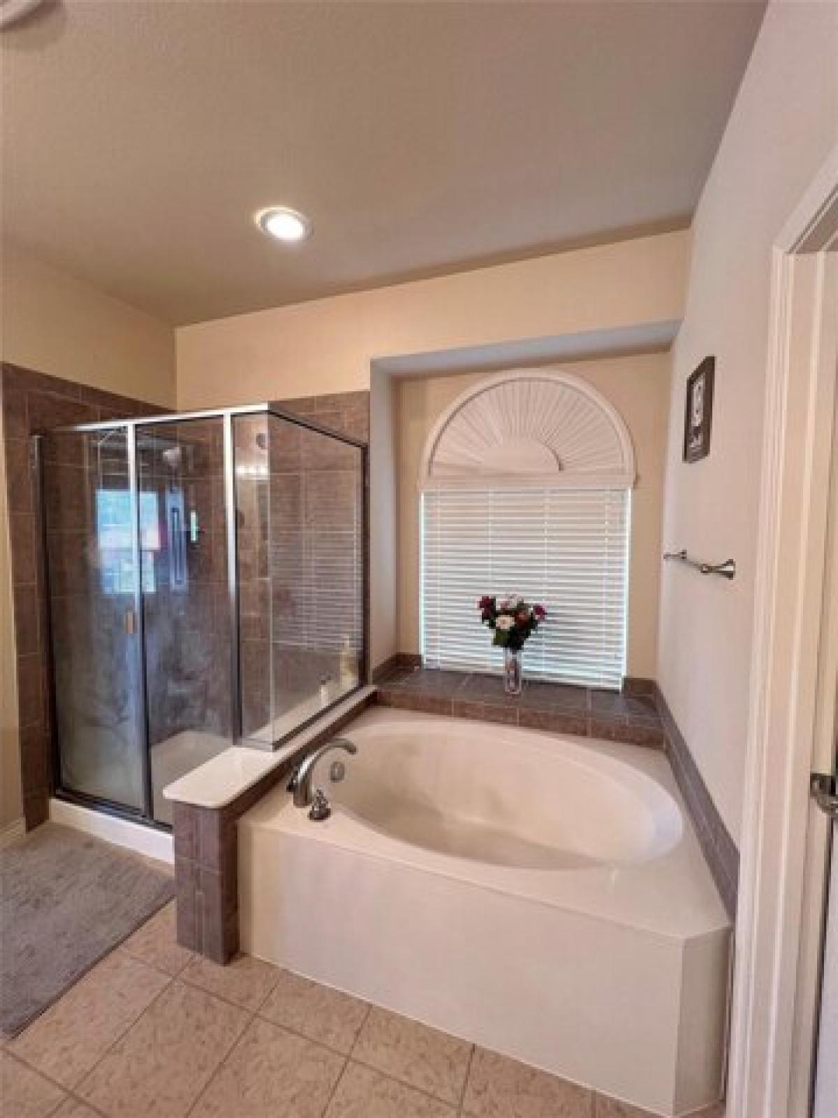 Picture of Home For Rent in Frisco, Texas, United States