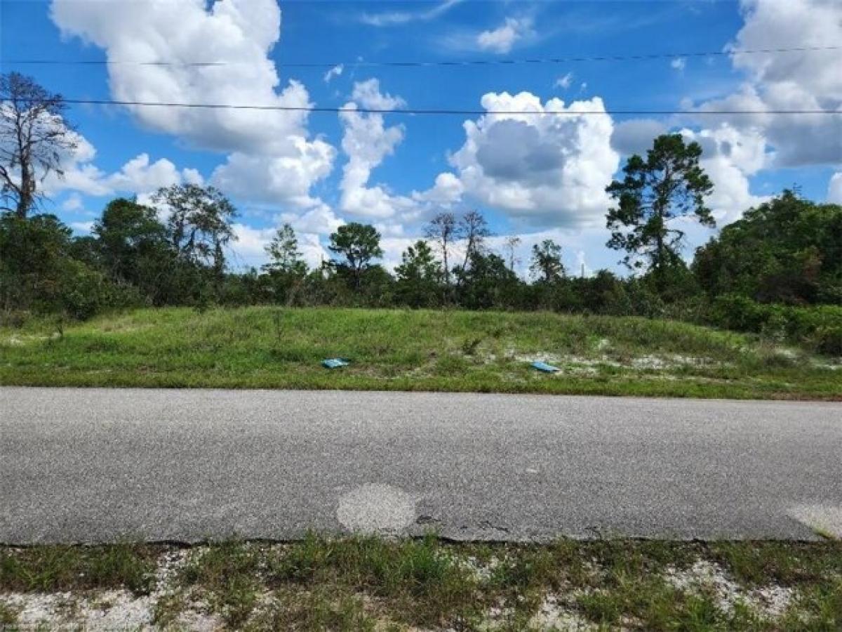 Picture of Residential Land For Sale in Lake Placid, Florida, United States