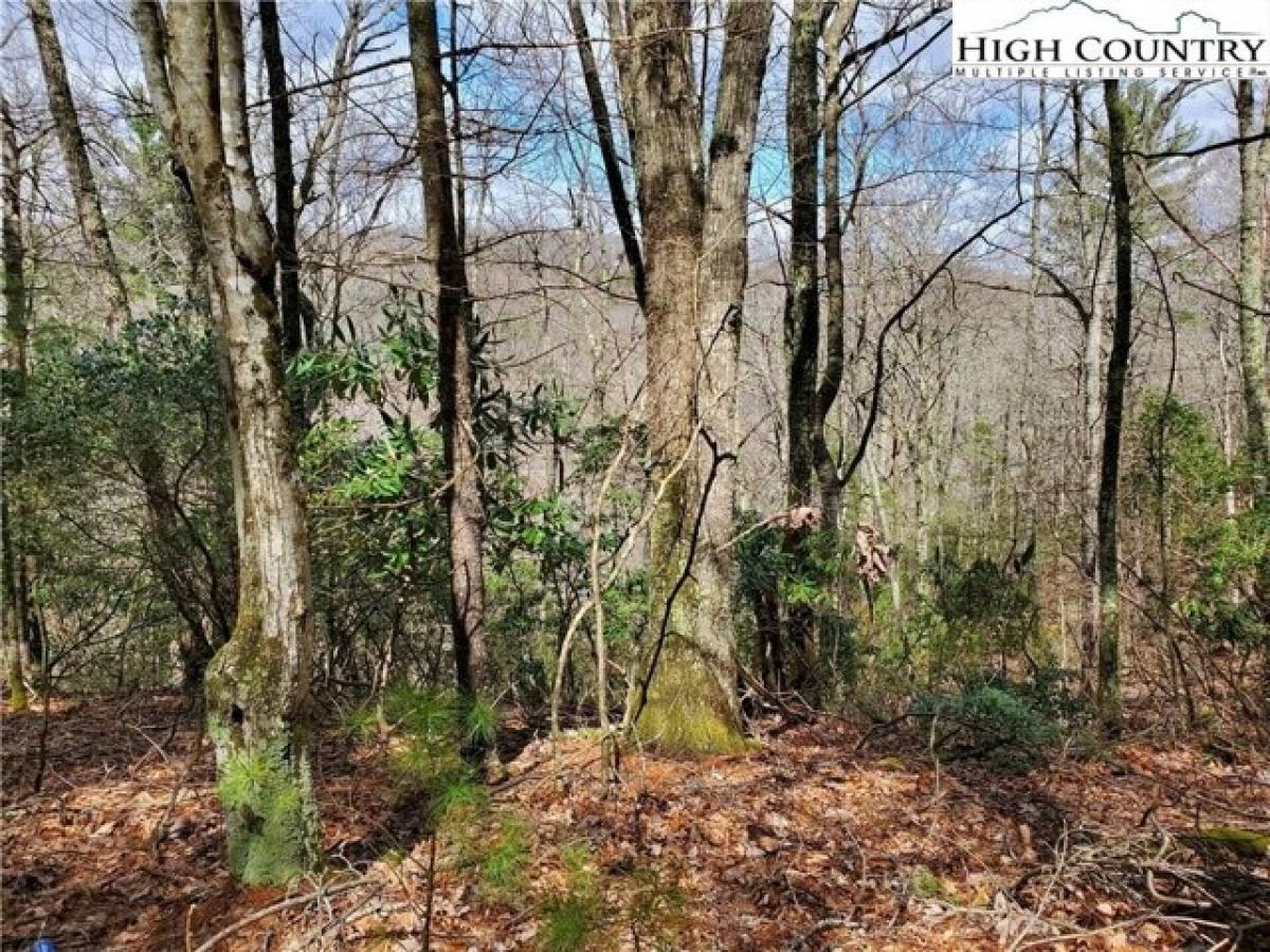 Picture of Residential Land For Sale in Boone, North Carolina, United States