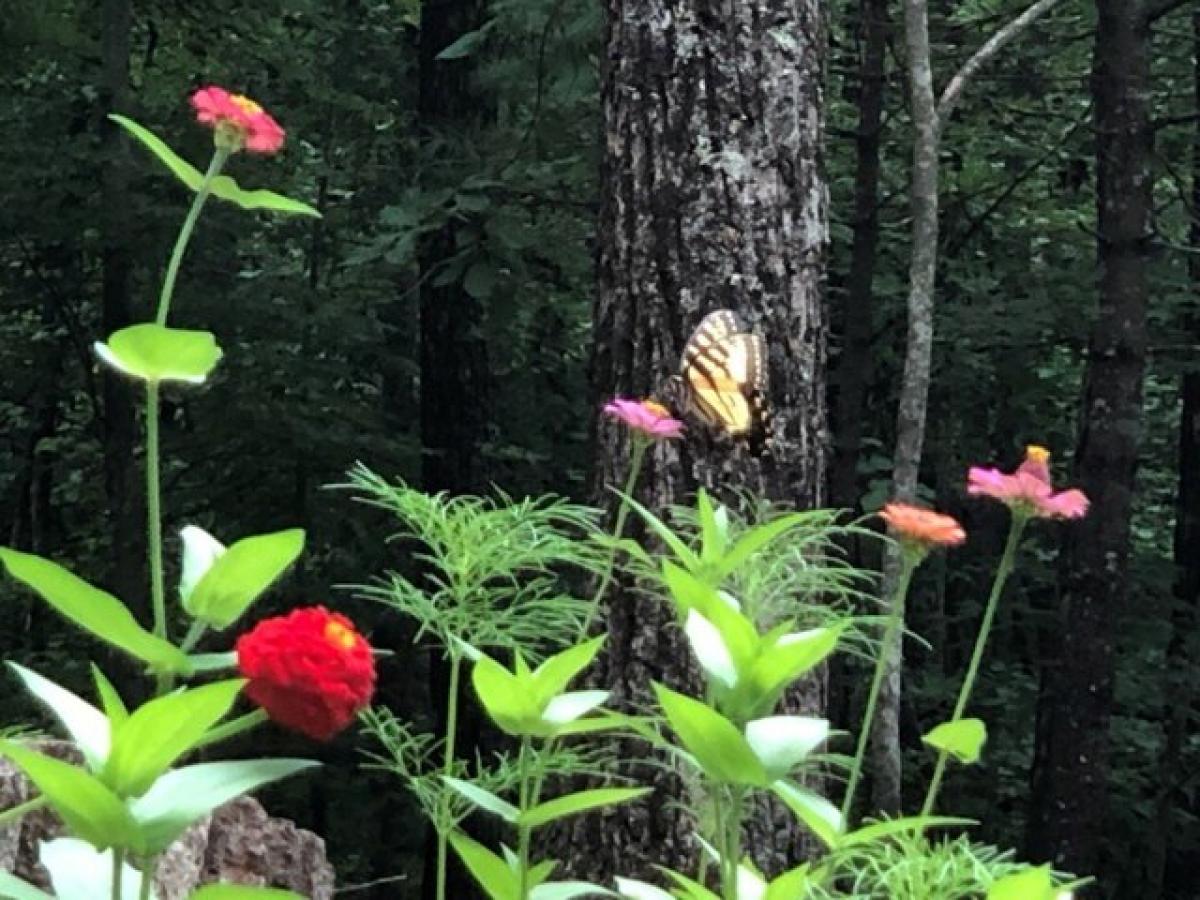 Picture of Home For Sale in Ellijay, Georgia, United States