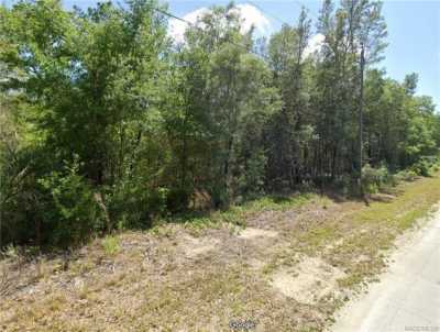 Residential Land For Sale in Citrus Springs, Florida