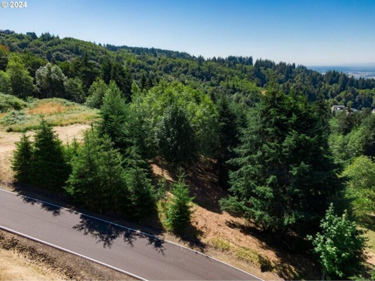 Picture of Residential Land For Sale in Kalama, Washington, United States