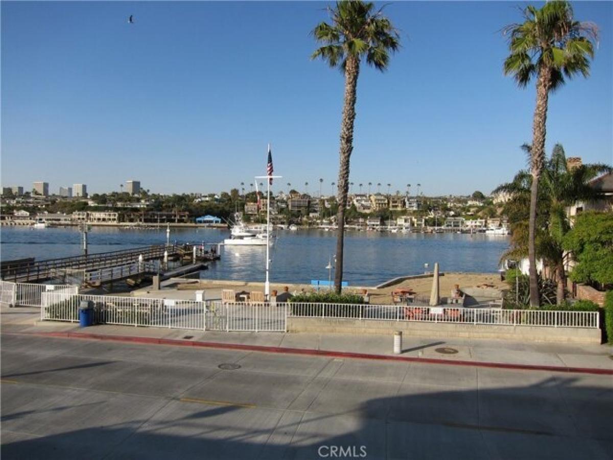 Picture of Home For Rent in Newport Beach, California, United States