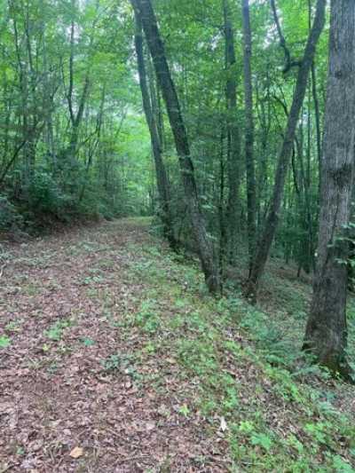 Residential Land For Sale in Franklin, North Carolina