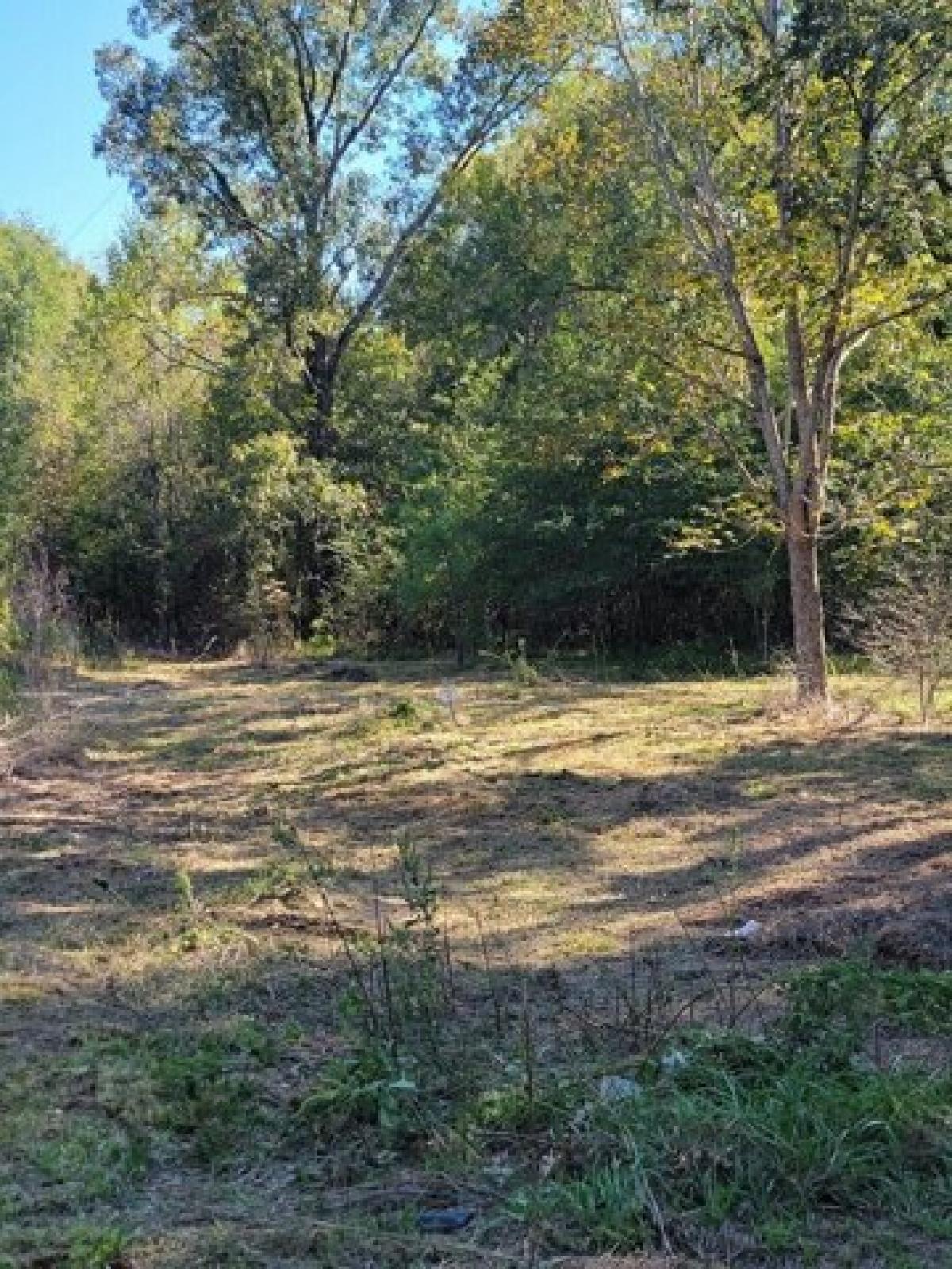 Picture of Residential Land For Sale in Livingston, Texas, United States