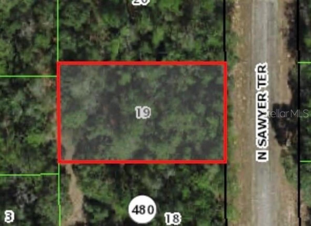 Picture of Residential Land For Sale in Dunnellon, Florida, United States