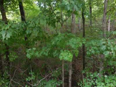 Residential Land For Sale in Sevierville, Tennessee