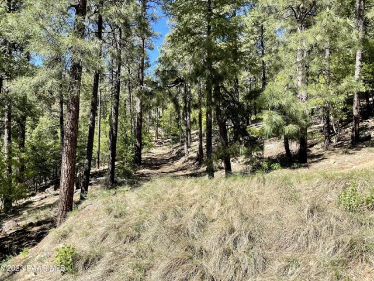 Picture of Residential Land For Sale in Prescott, Arizona, United States
