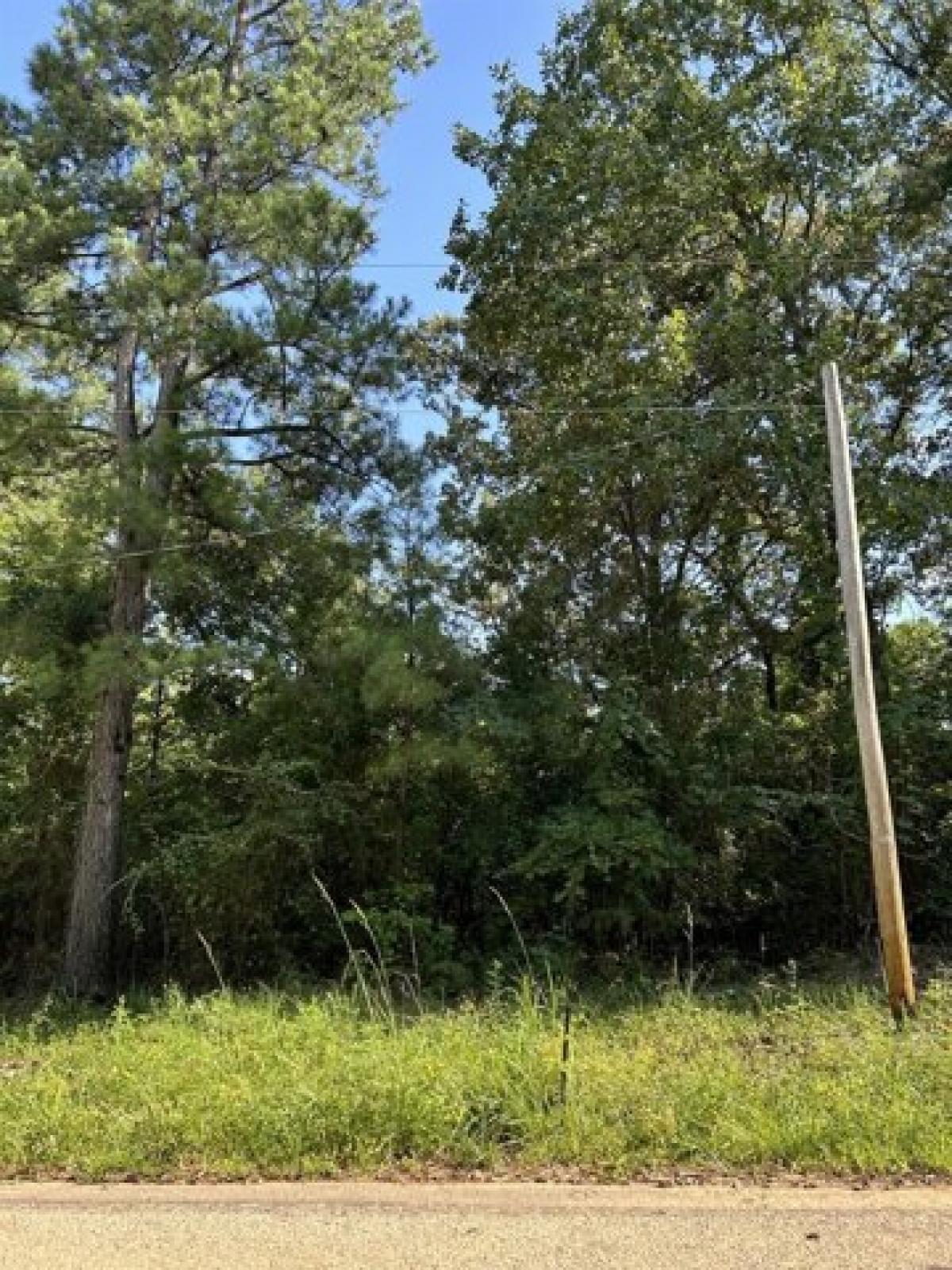 Picture of Residential Land For Rent in Pittsburg, Texas, United States