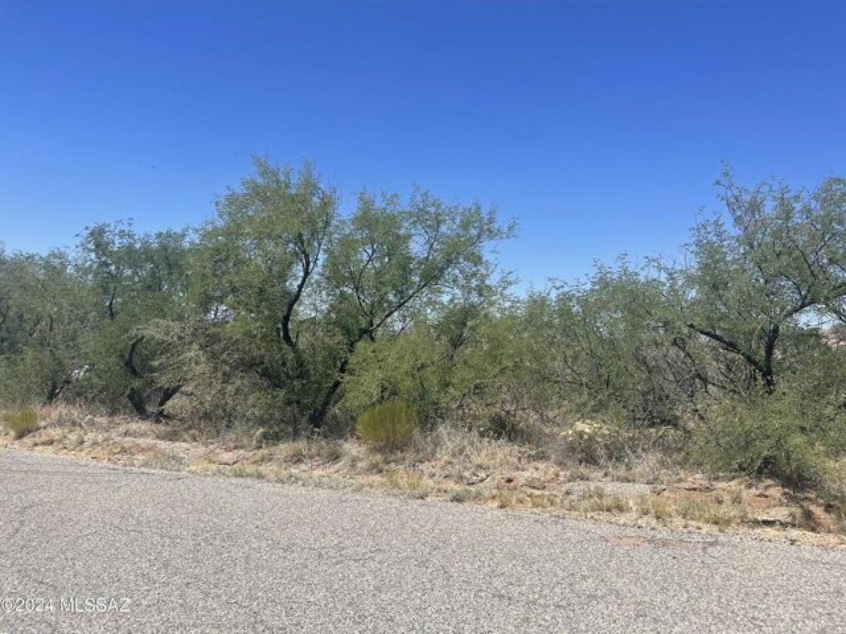 Picture of Residential Land For Rent in Rio Rico, Arizona, United States