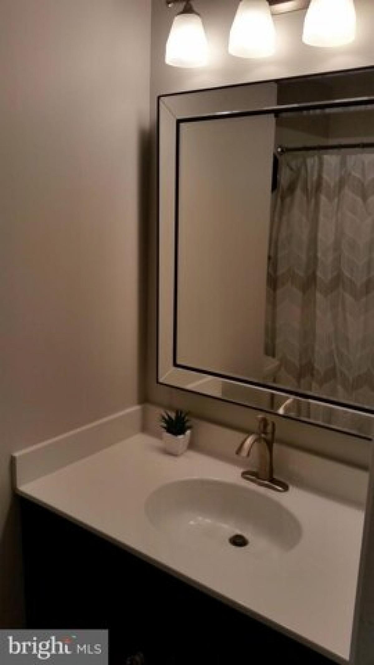 Picture of Home For Rent in Alexandria, Virginia, United States