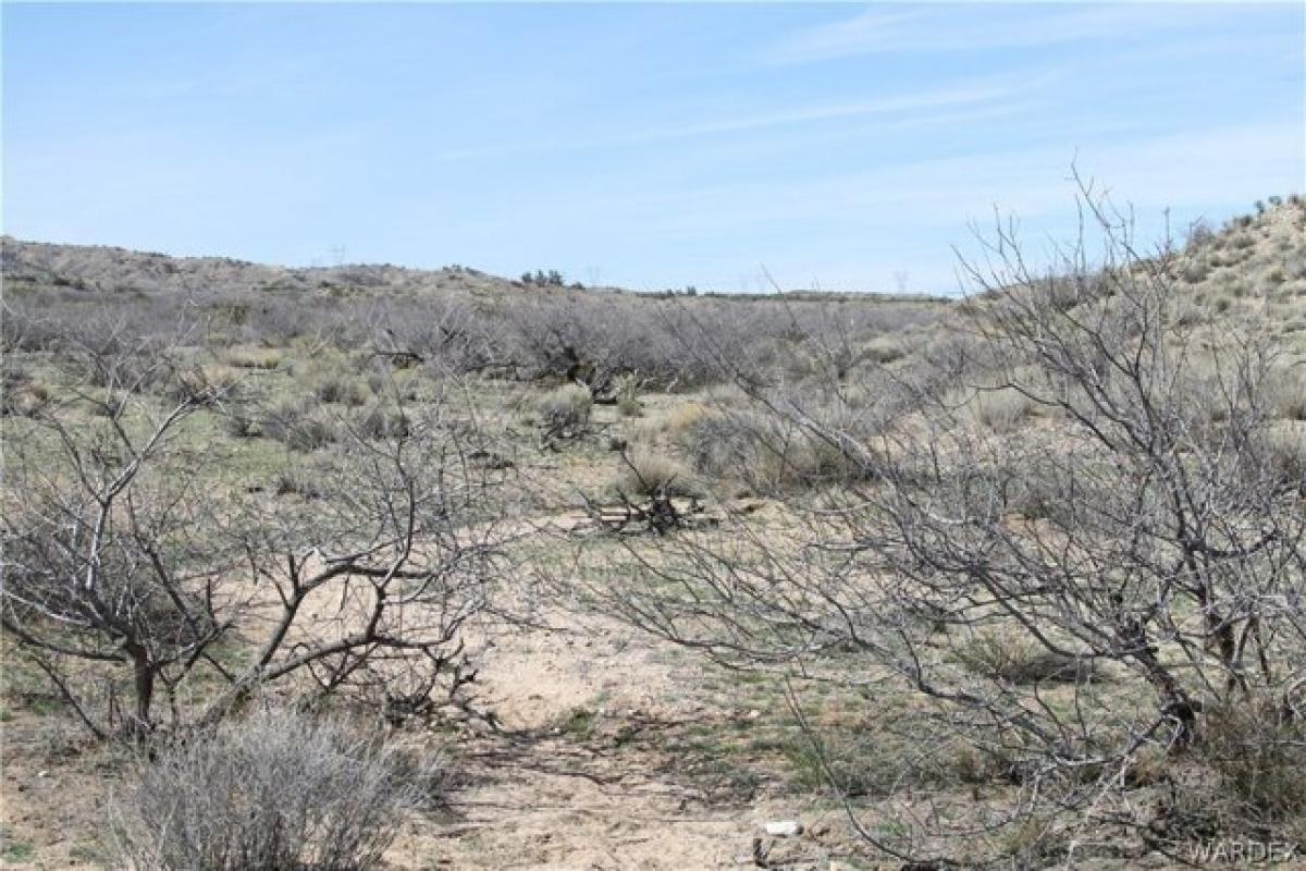 Picture of Residential Land For Sale in Kingman, Arizona, United States