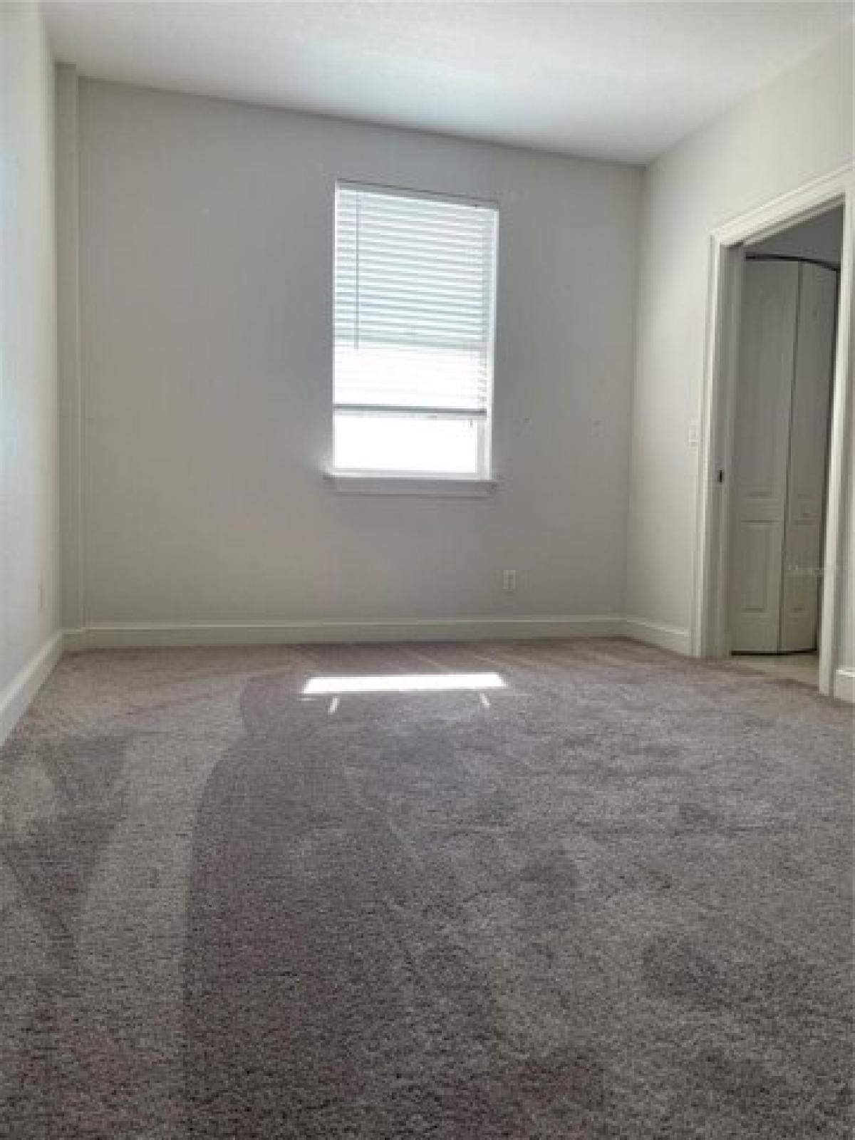 Picture of Home For Rent in Saint Petersburg, Florida, United States