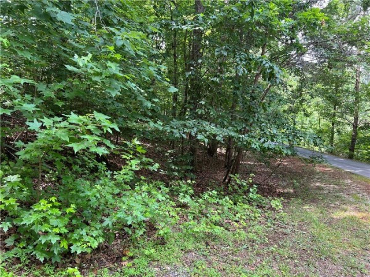 Picture of Residential Land For Sale in Westminster, South Carolina, United States